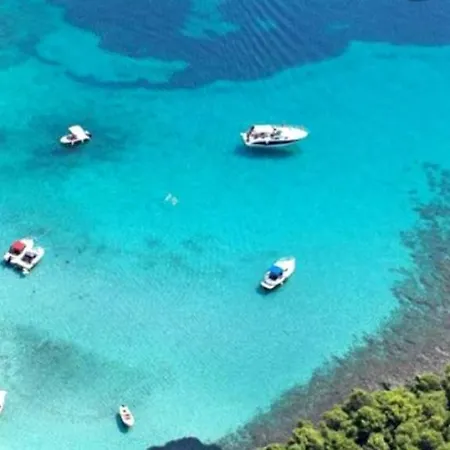 Royale With Shared Pool * フヴァル